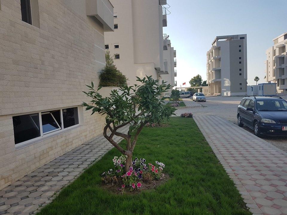 Radhima Beach Apartment-Tirana Resort 奥里库姆 外观 照片